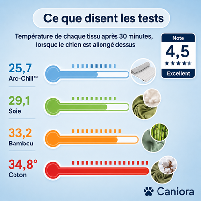 PawChill™ – Ne laissez pas la chaleur voler le confort de votre chien