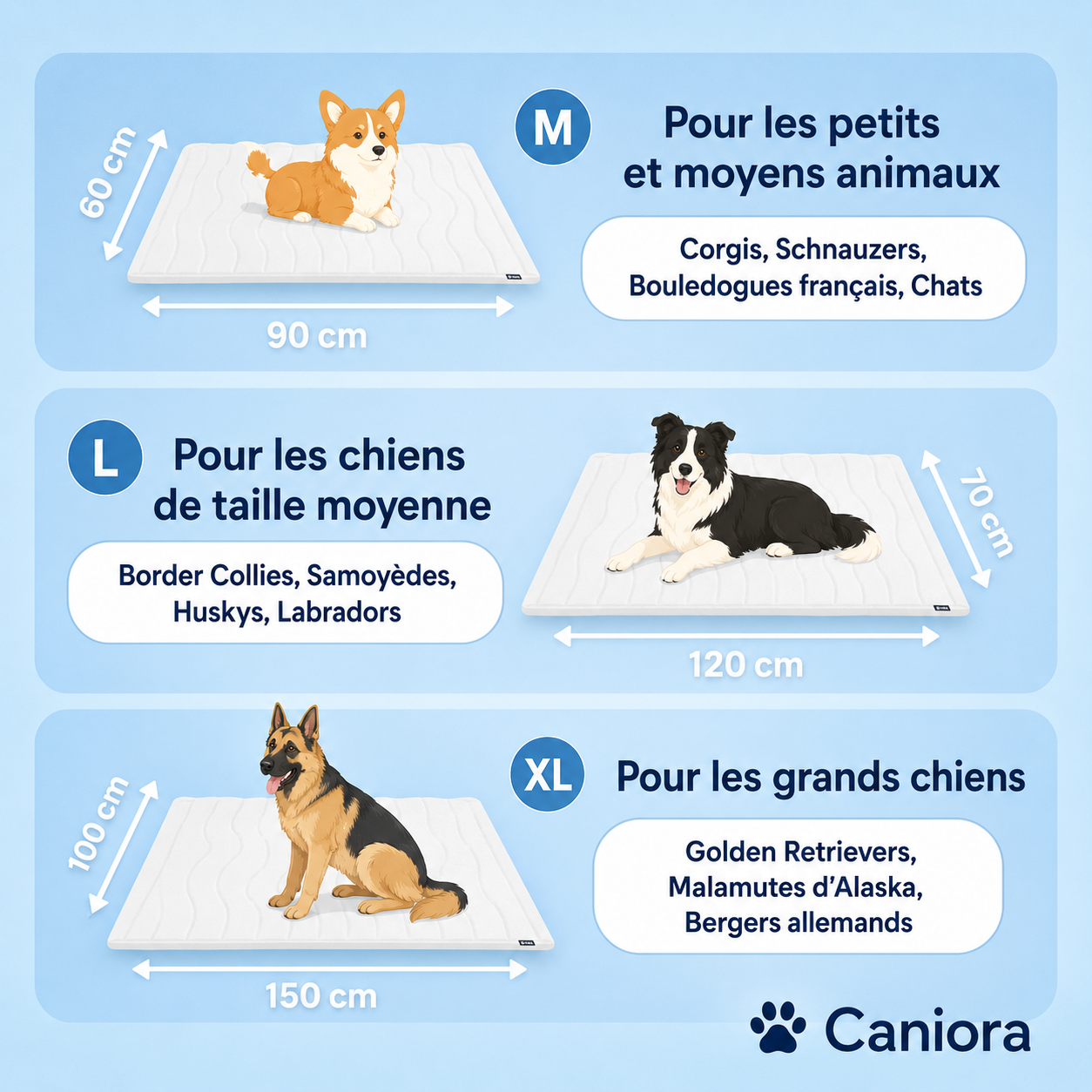 PawChill™ – Ne laissez pas la chaleur voler le confort de votre chien