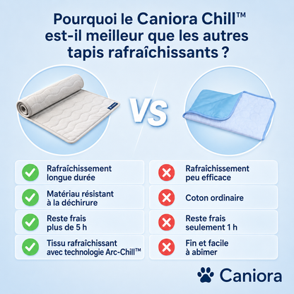 PawChill™ – Ne laissez pas la chaleur voler le confort de votre chien
