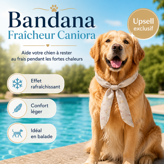Bandana fraîcheur