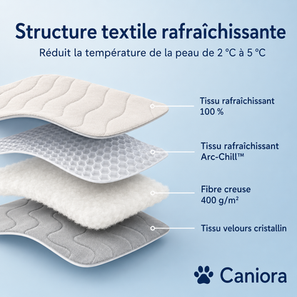 PawChill™ – Ne laissez pas la chaleur voler le confort de votre chien