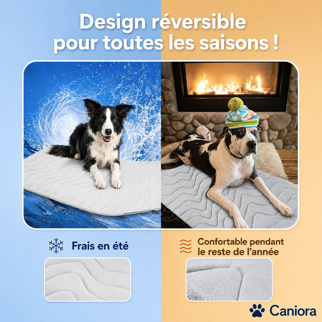 PawChill™ – Ne laissez pas la chaleur voler le confort de votre chien