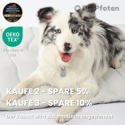 PawChill™ - Le tapis rafraîchissant innovant pour chiens