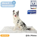 PawChill™ - Le tapis rafraîchissant innovant pour chiens