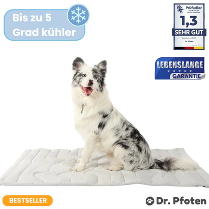 PawChill™ - Le tapis rafraîchissant innovant pour chiens