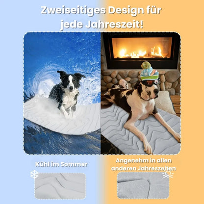 PawChill™ - Le tapis rafraîchissant innovant pour chiens