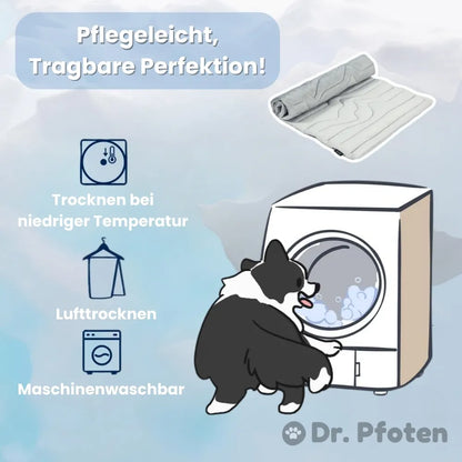 PawChill™ - Le tapis rafraîchissant innovant pour chiens