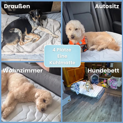 PawChill™ - Le tapis rafraîchissant innovant pour chiens