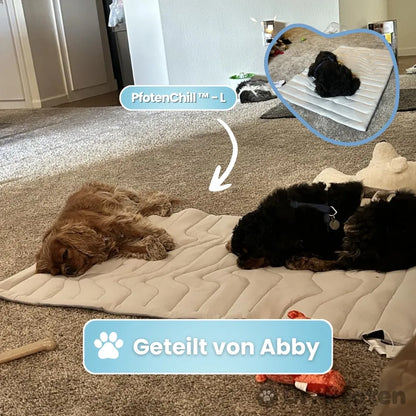 PawChill™ - Le tapis rafraîchissant innovant pour chiens