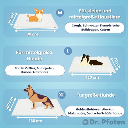 PawChill™ - Le tapis rafraîchissant innovant pour chiens