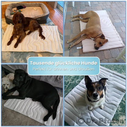 PawChill™ - Le tapis rafraîchissant innovant pour chiens